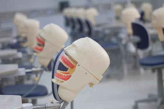 Manequim de simulação odontológica no laboratório