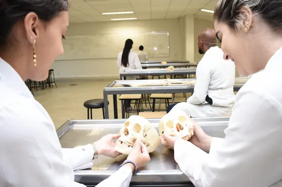 Estudantes no laboratório de anatomia