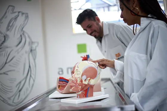Aula prática no laboratório de anatomia