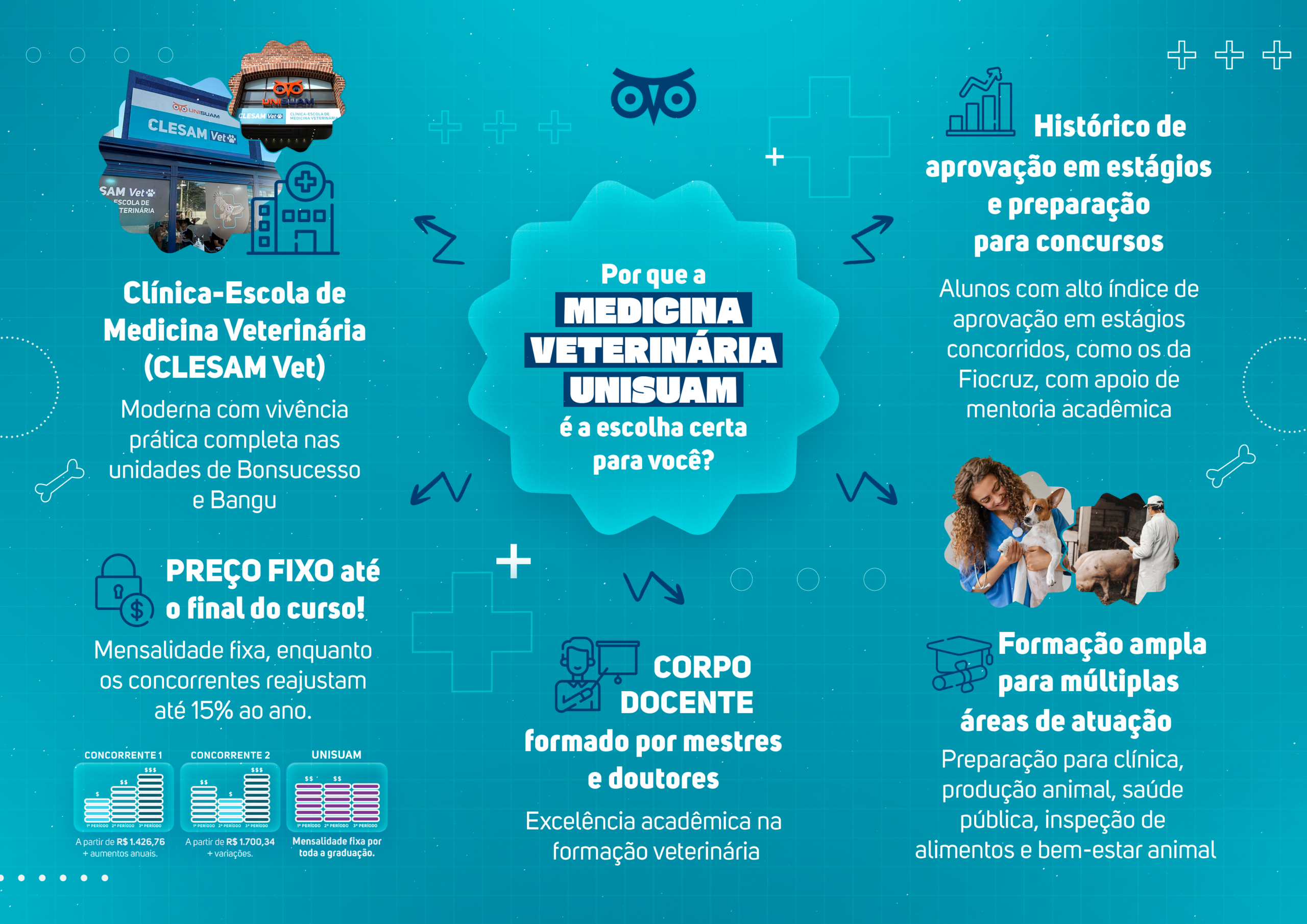 Mapa Mental Medicina Veterinária