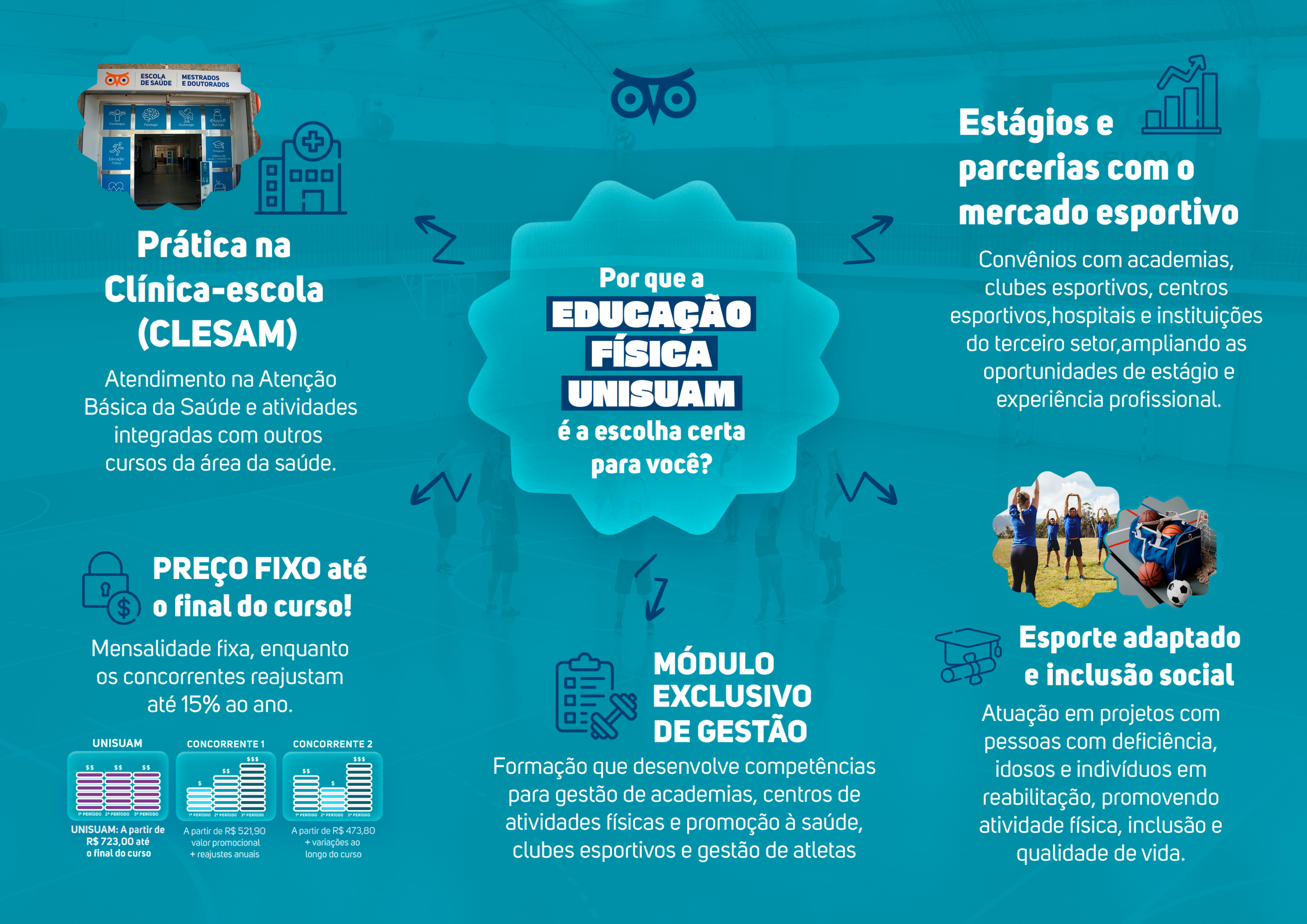 Mapa Mental Educação Física
